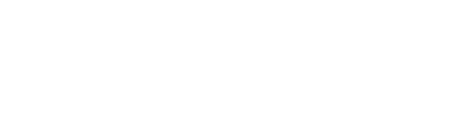المفوضية الوطنية العليا للانتخابات